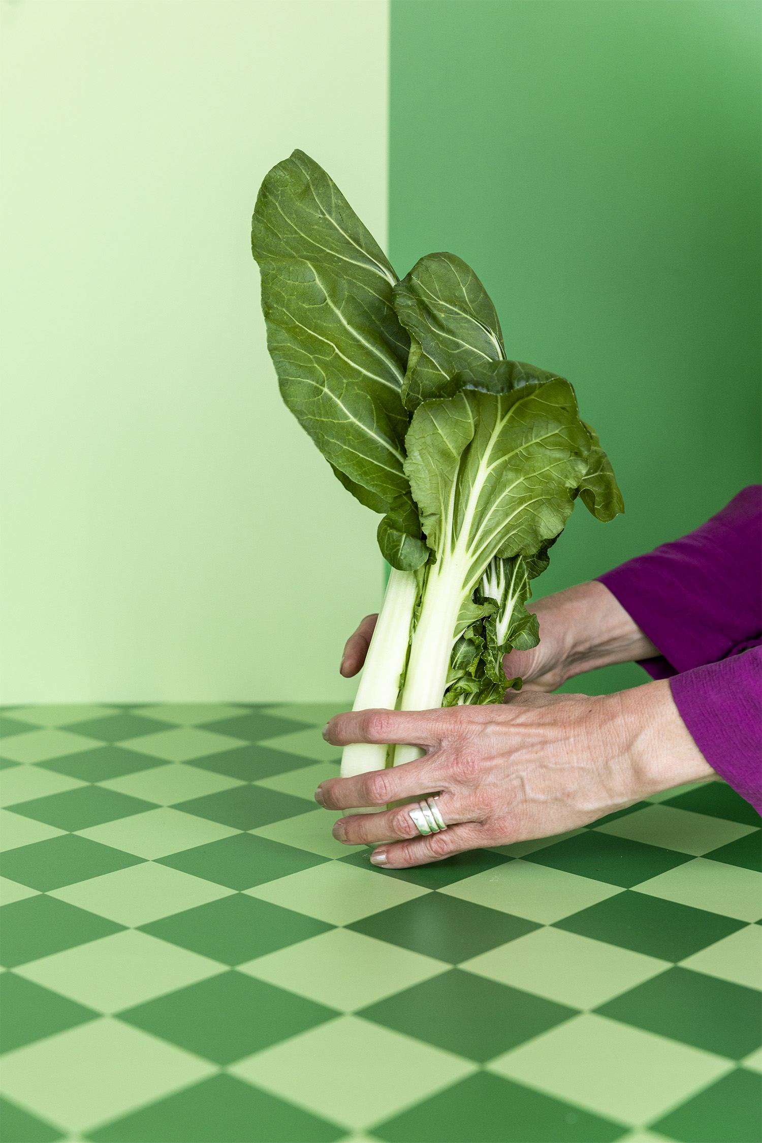 Vief Vitaliteit - JET-16 Vief Vitaliteit - JET-16